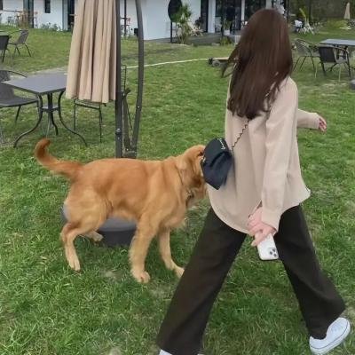 薰衣草的香